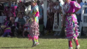 pow wow womens jingle dress dance high quality