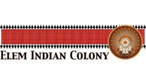 elem-indian-colony-of-pomo-flag-krazy-bear