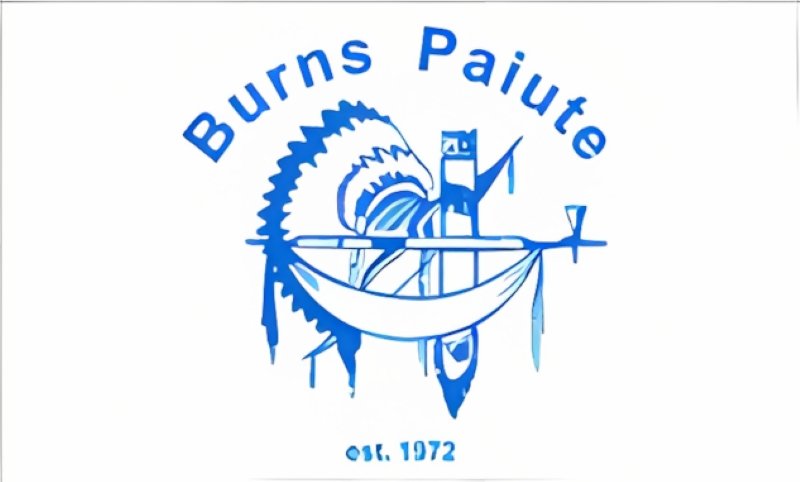 burnspaiute tribe flag krazy bear