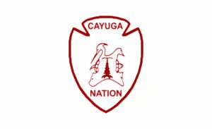 cayuga nation of new york krazy bear