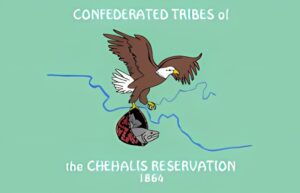 confederated tribes of the chehalis krazy bear