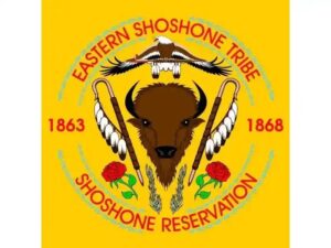 eastern shoshone tribal flag krazy bear