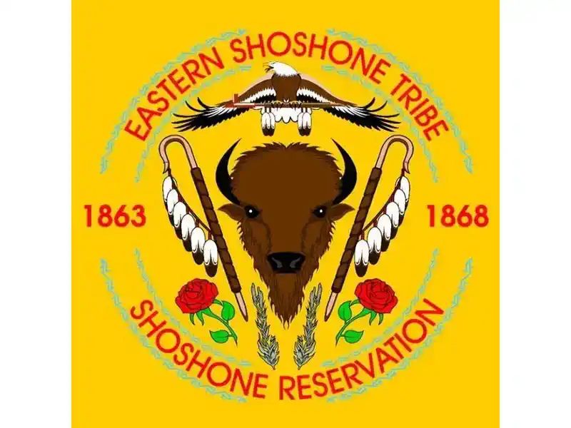 eastern shoshone tribal flag krazy bear