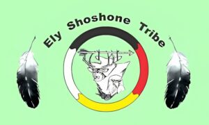 ely shoshone tribe krazy bear