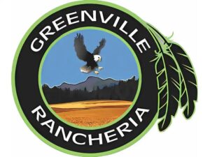 greenville rancheria krazy bear