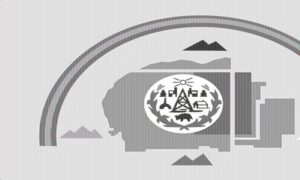 navajo tribal nation flag krazy bear