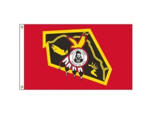 nez perce tribe krazy bear