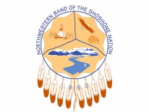 northwestern band of the shoshone nation krazy bear