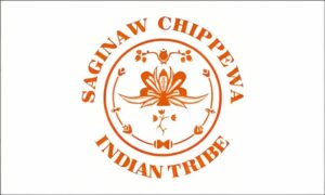 saginaw chippewa tribe krazy bear