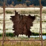 Furs-Hides-Tails/
