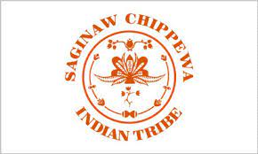 saginaw chippewa tribe krazy bear